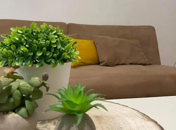 Farrasea * Ferragudo (Faro)